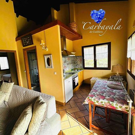 Apartamentos Rurales La Carbayala Oviñana Esterno foto