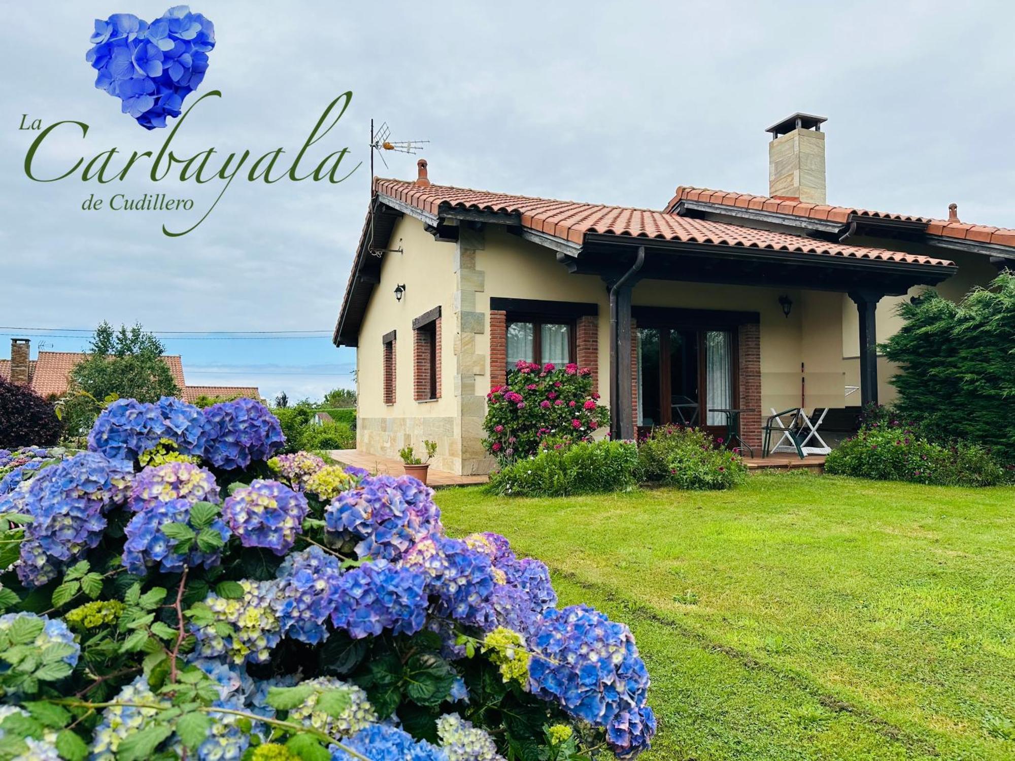 Apartamentos Rurales La Carbayala Oviñana Esterno foto