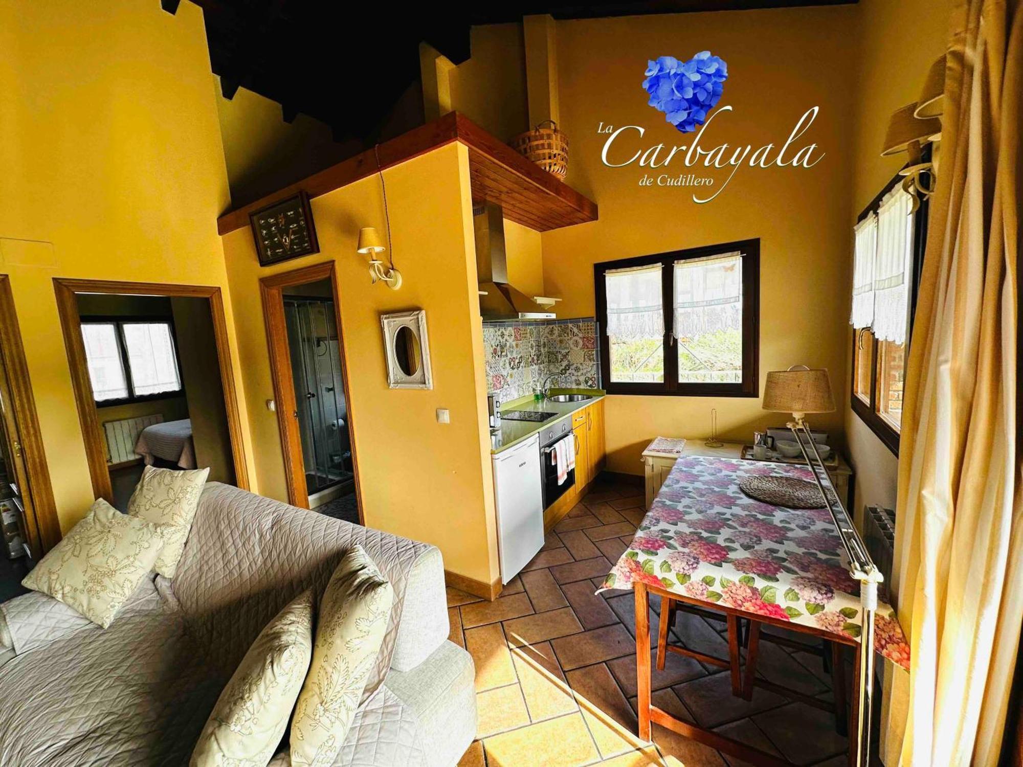 Apartamentos Rurales La Carbayala Oviñana Esterno foto