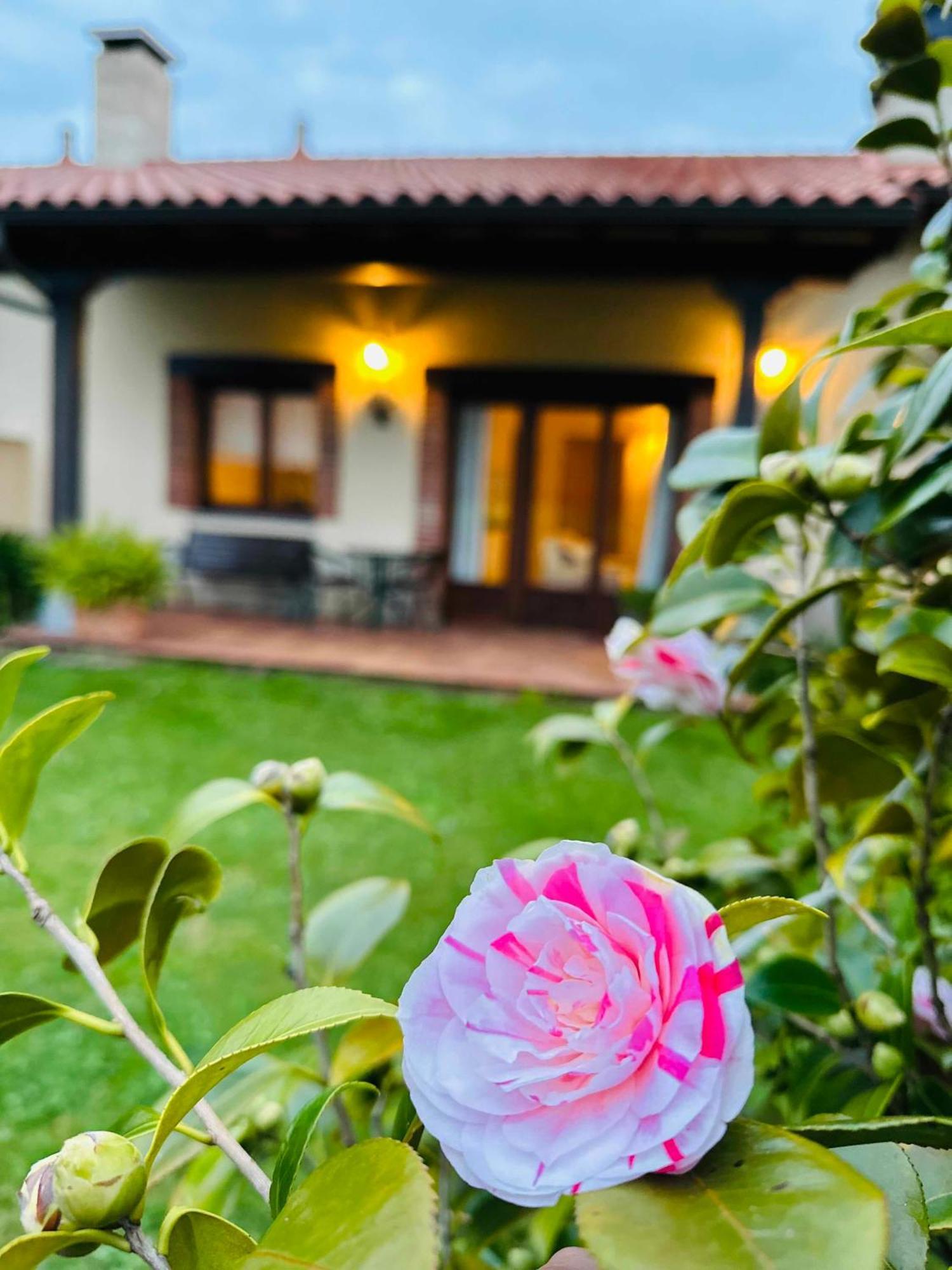 Apartamentos Rurales La Carbayala Oviñana Esterno foto